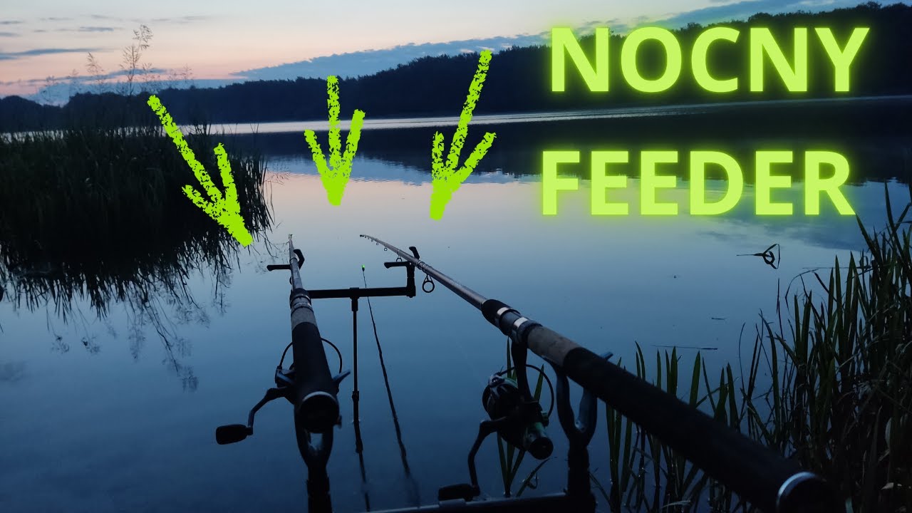 NOCNY FEEDER I SĄ ZNÓW KOLEJNE LESZCZE