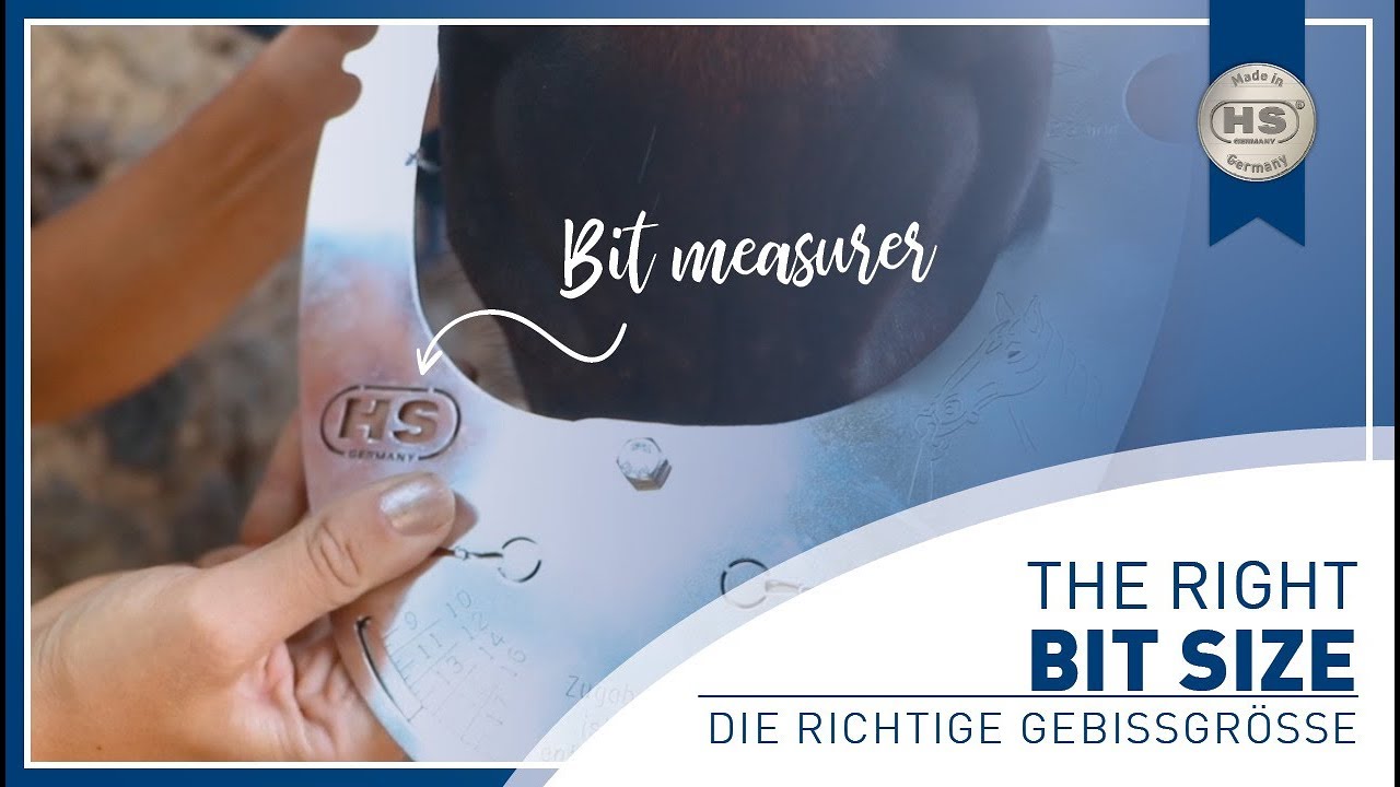 HOW TO - determine the right bit size?