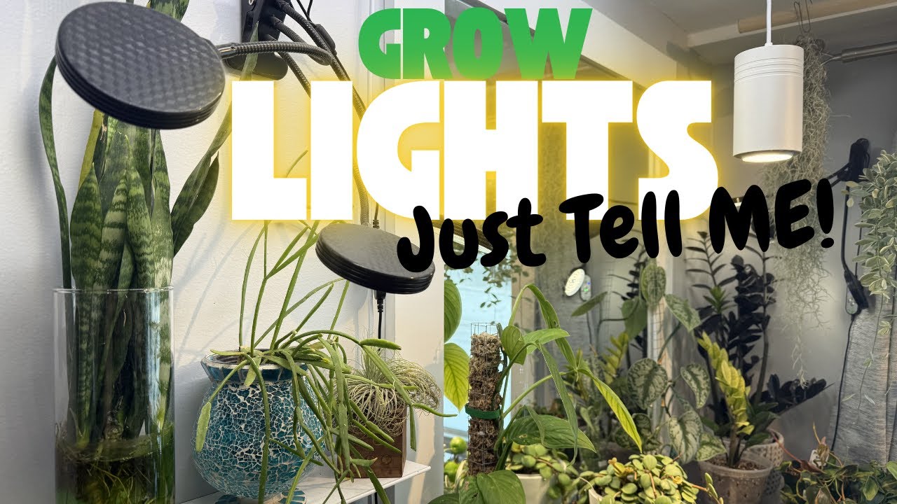 Grow Lights for indoor plants. Explained Simple. No Confusion. Plant Basics Series....Episode 1