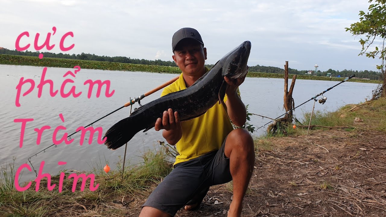 Tập Full : Bão cá Tràm chim toàn thứ dữ + Hàng hiếm | Săn bắt SÓC TRĂNG |