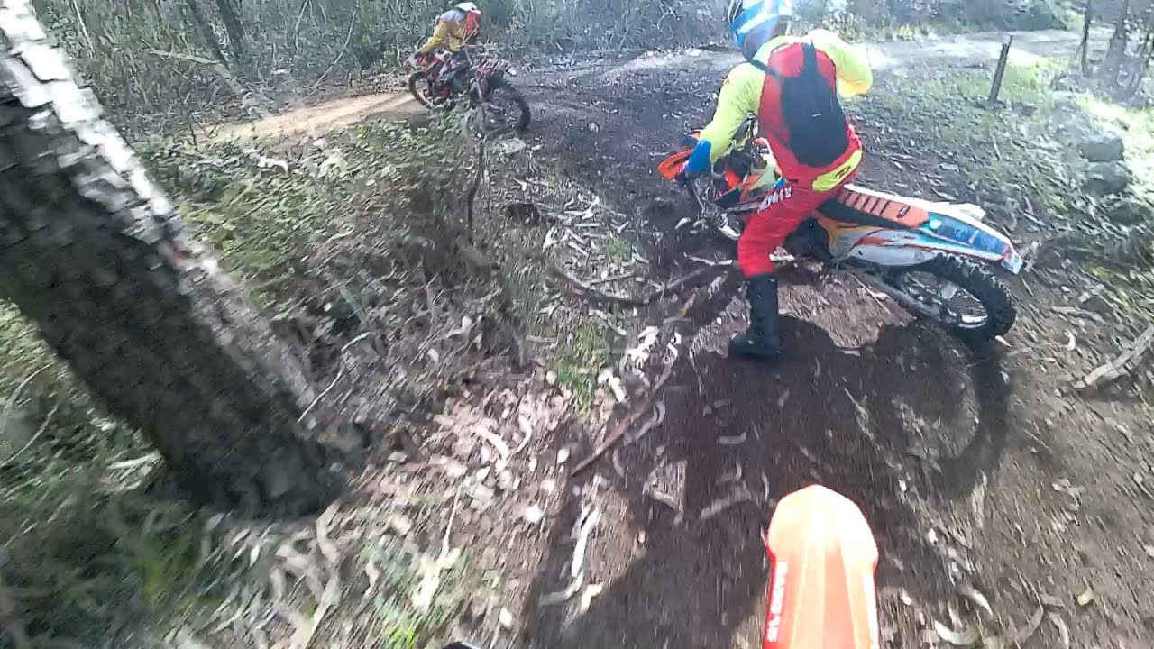 Passeio São Mamede ft. André Gaspar