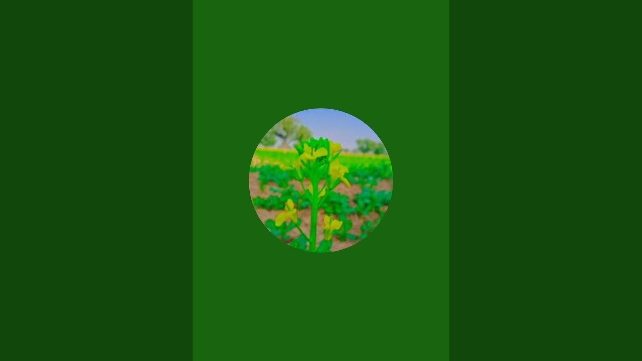 Sawariya_seth🙏 is live
