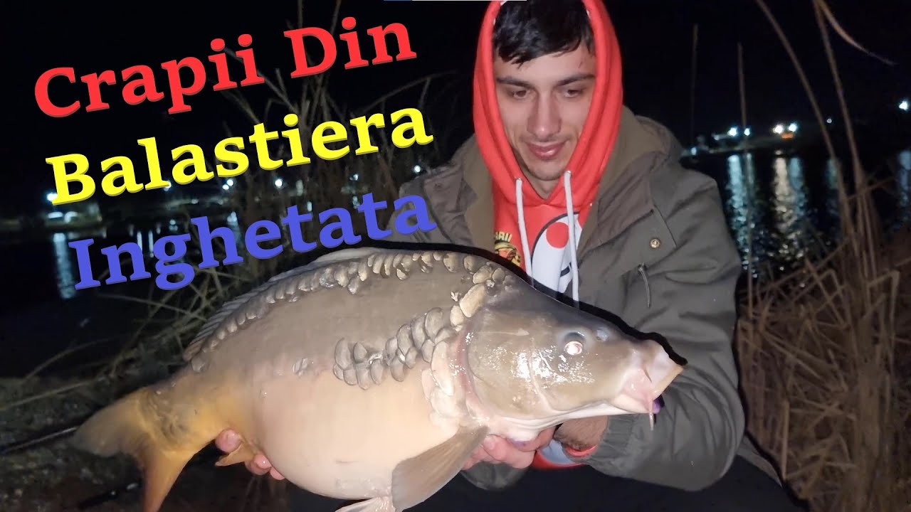 Crapi Prinsi Pe Balastiera 