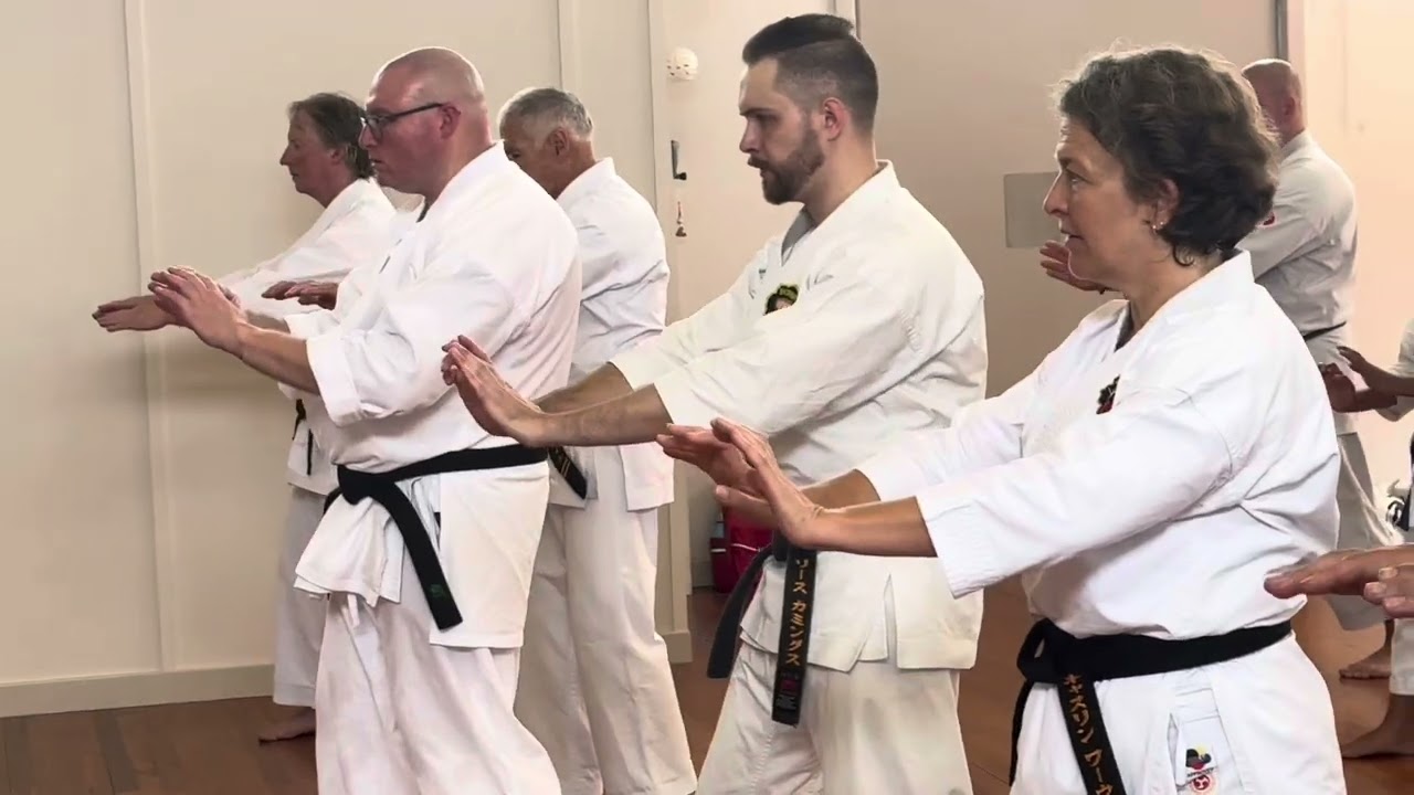 A glimpse of the fsecond day of Oscar Higa Sensei’s seminars in Newcastle, Australia