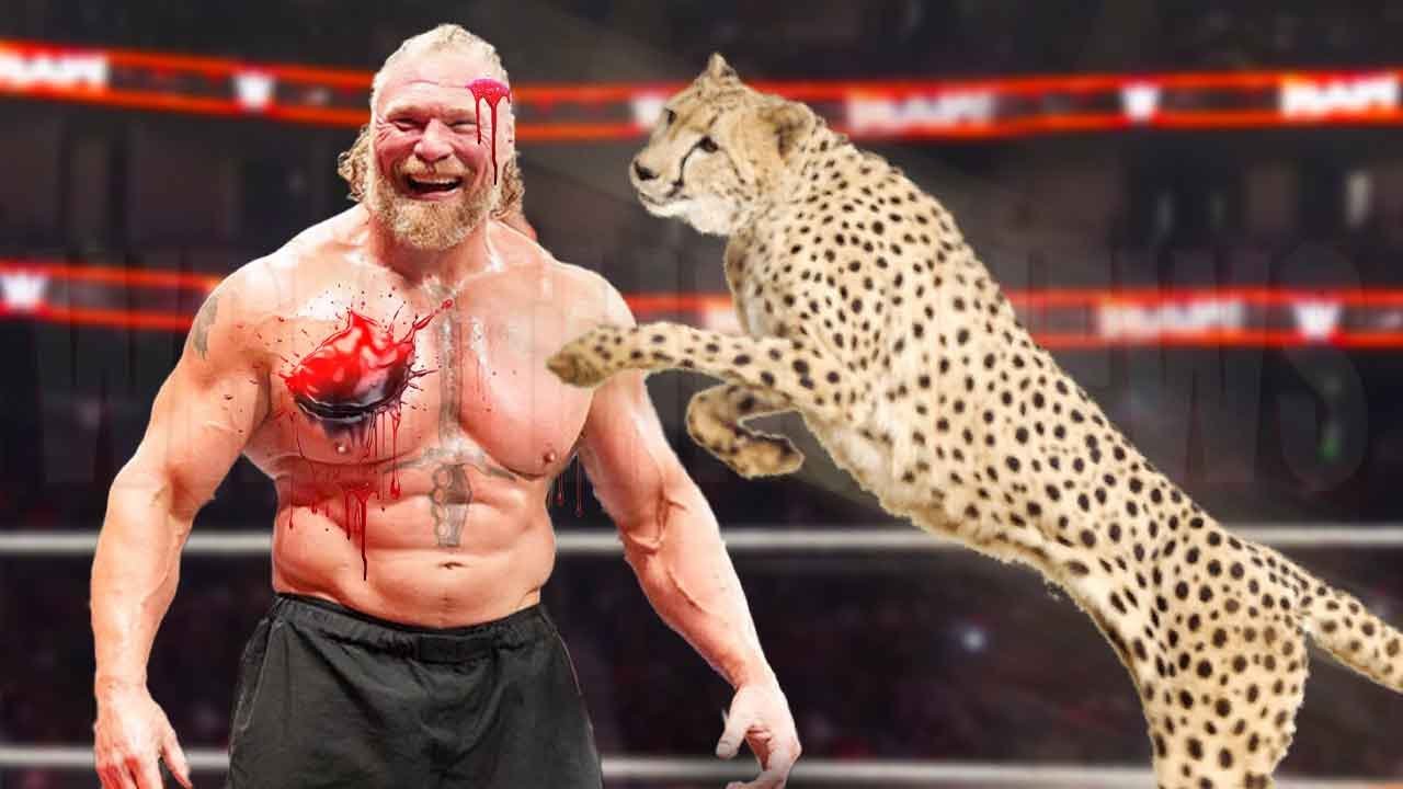 Матч 