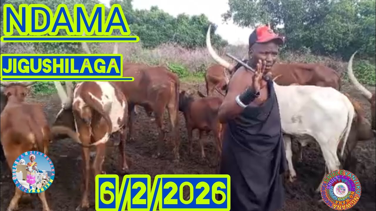 NDAMA JIGUSHILAGA UJUMBE WA MKALA 2026 BY SHULE MSABAZAJI 