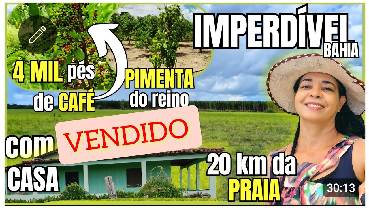 VENDIDO. LUCRO TODA SEMANA! sítio completo para morar com café e pimenta