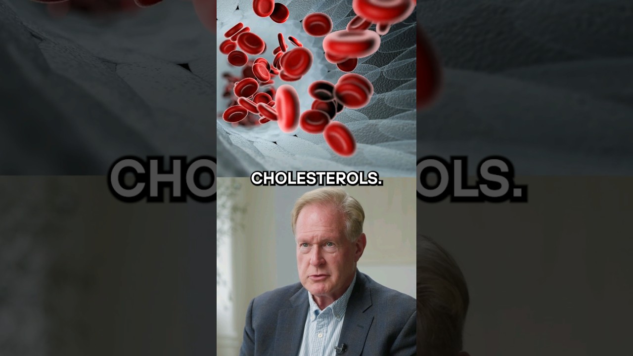What Actually Causes High Cholesterol? | Dr. Robert Lustig