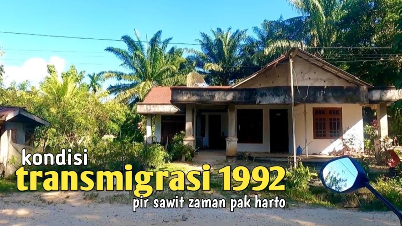 Menelusuri kampung transmigrasi pir sawit di tepian sungai Kapuas Kalimantan