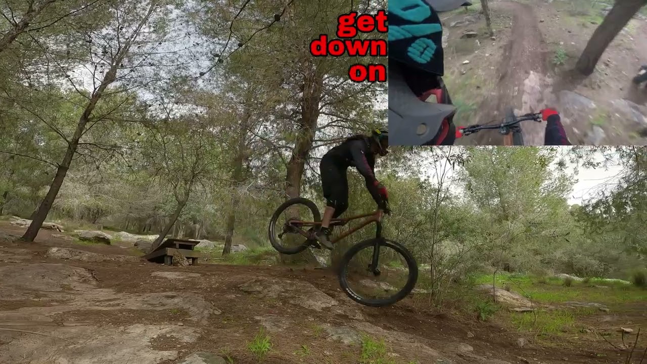 Playing in the woods
