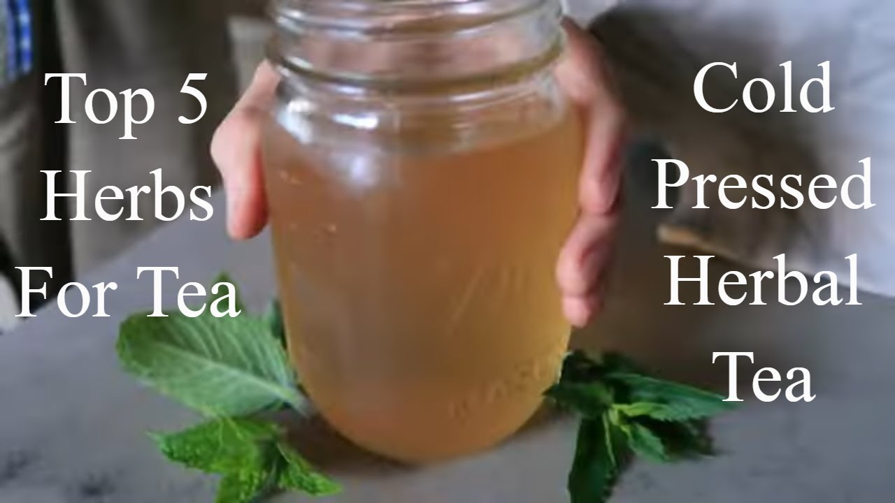Our TOP 5 Herbs To Grow For Tea / How To Make Cold Pressed Tea