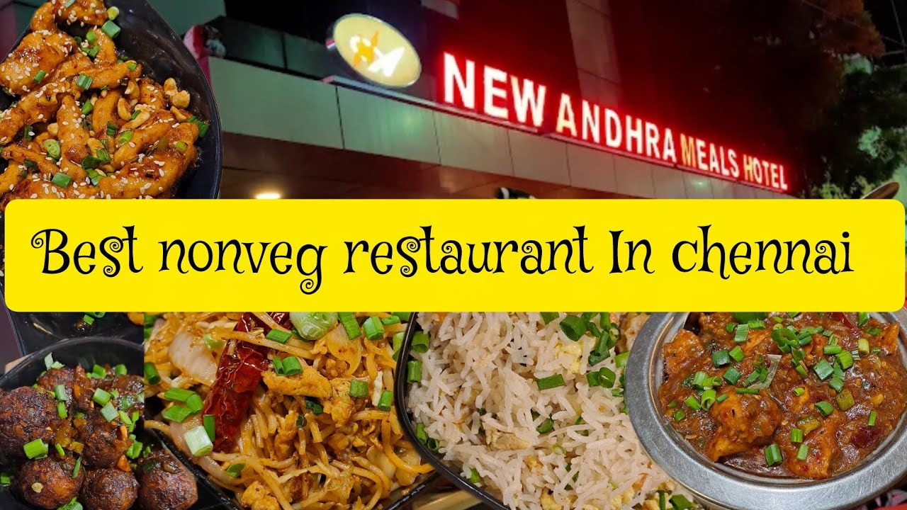 New andhra meals hotel valasaravakkam | best non veg restaurant in chennai | hidden gem in chennai 