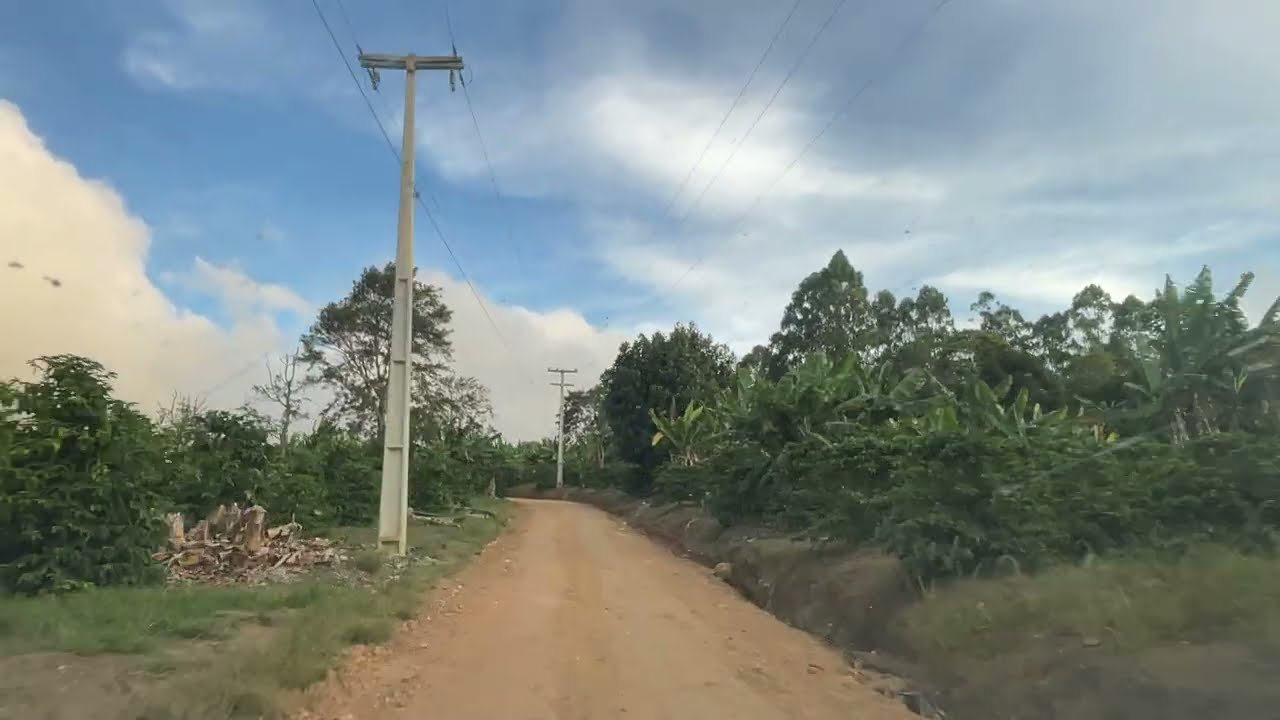 Pedrinha ao timorante(Região de poções e nova Canaã-Ba