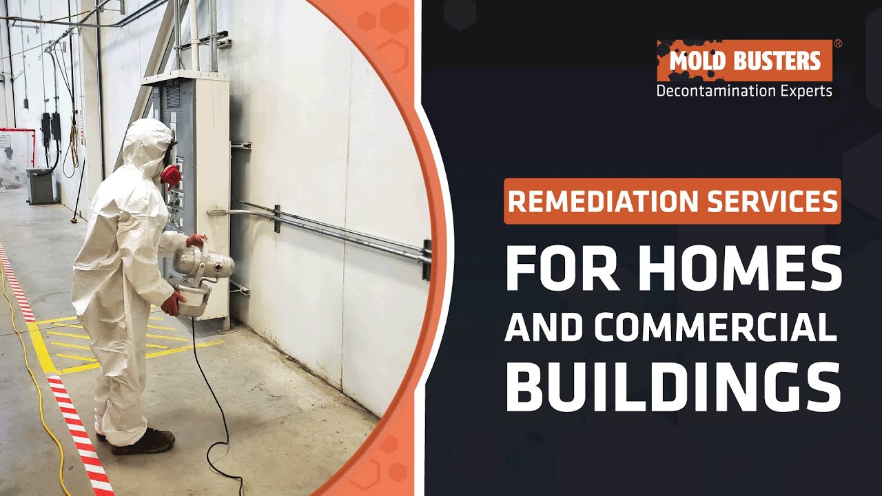 Remediation Services for Homes and Commercial Buildings in Ontario and Quebec - Mold Busters