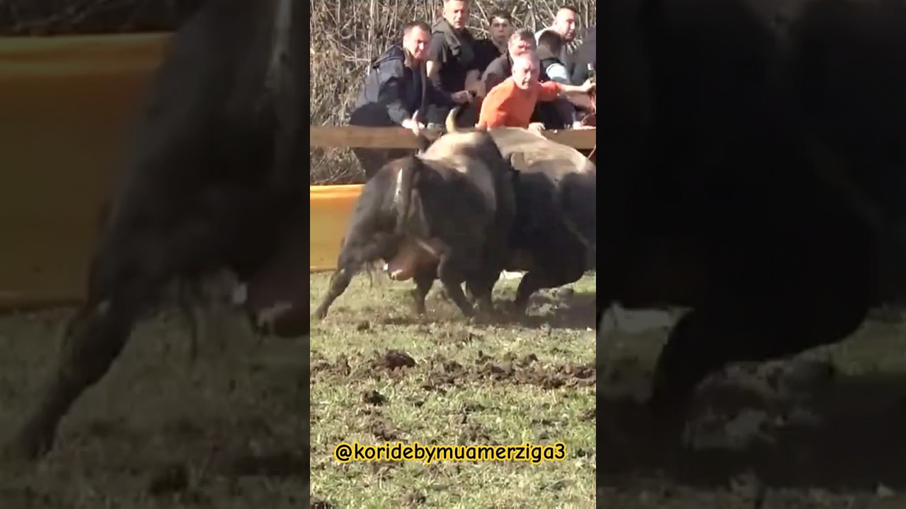 Prava drama u areni ZEKO vs GARCI 