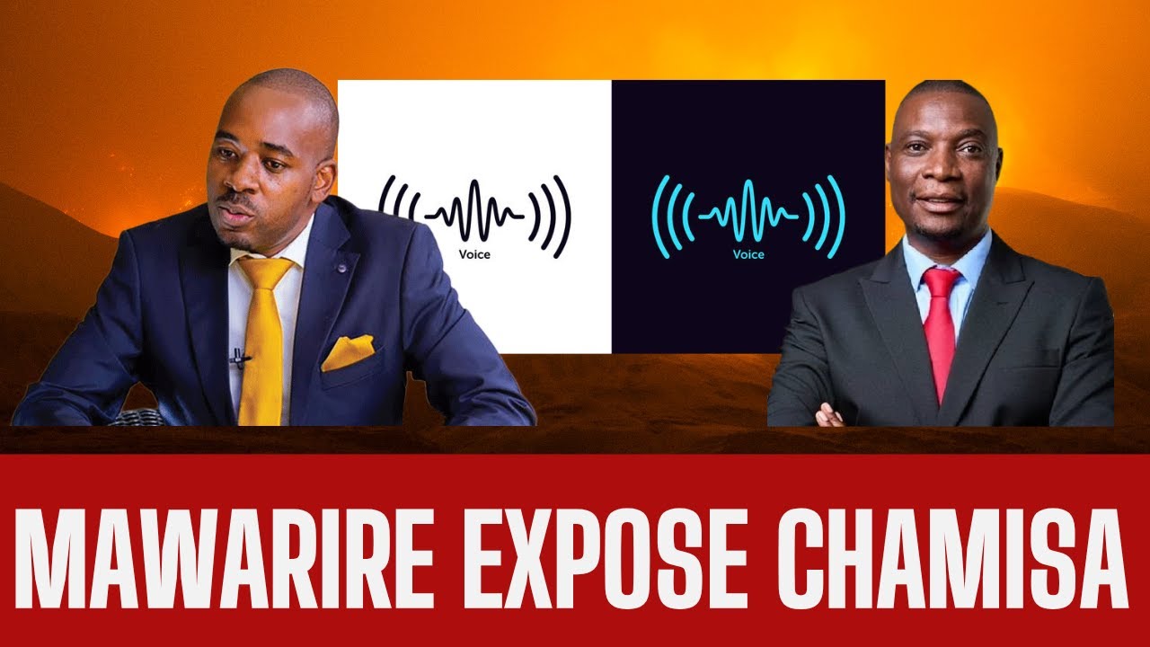 Jealousy Mawarire expose Chamisa audio with ED, Watch Chamisa exposed by Jelousy