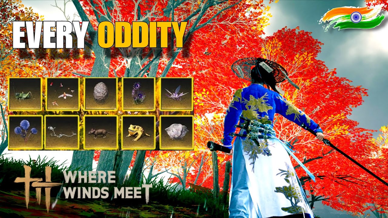 All Oddities - How to Find & What To Do | Where Winds Meet Tips & Guides Hindi Gameplay