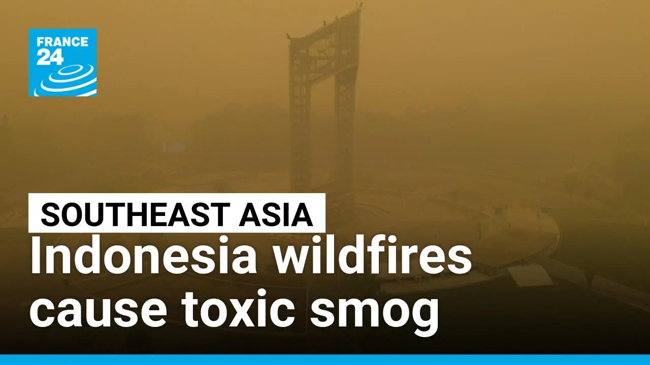 Indonesia's forest fires spark public health crisis across Southeast Asia &bull; FRANCE 24 English
