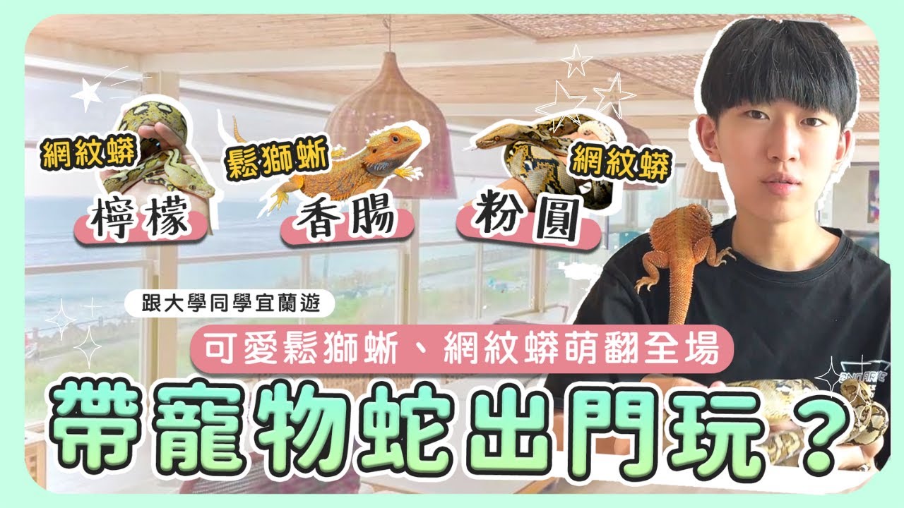 帶寵物蛇出門玩！宜蘭兩日遊，呆萌鬆獅蜥、網紋蟒帥翻全場【恩寵日常】