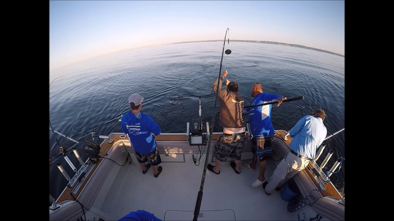 Team Yankee Troller Landing a nice Salmon on Lake Ontario