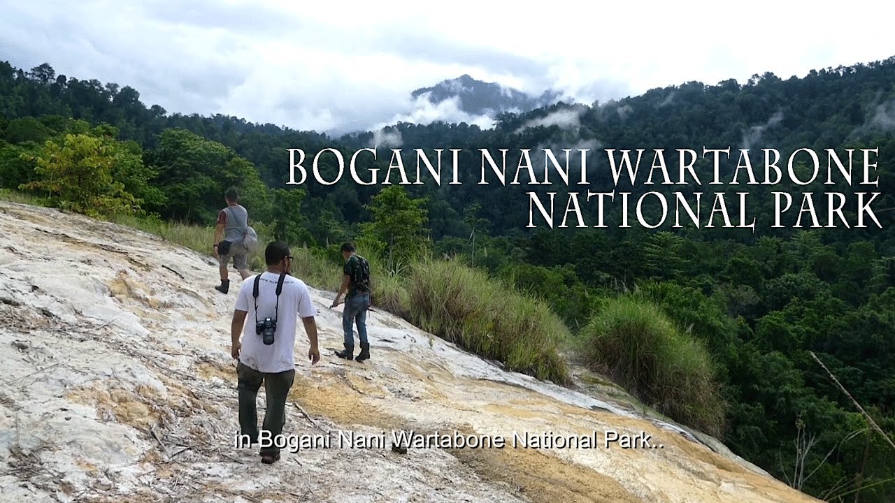 BOGANI NANI WARTABONE NATIONAL PARK - PROFIL 2017