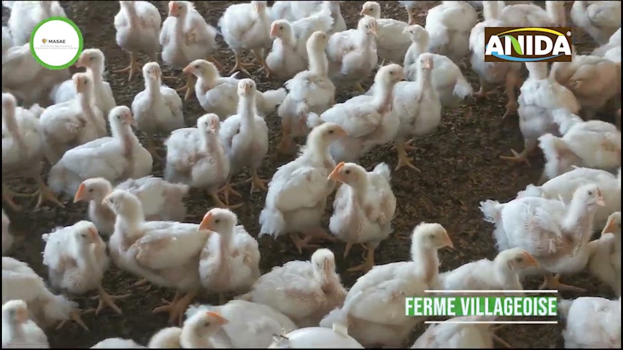 Film  sur les Coopératives Agricoles Communautaires