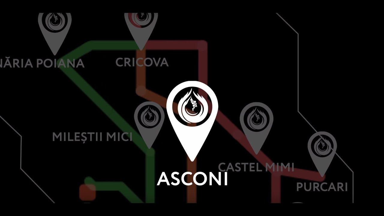 #EuVinDinMoldova Vinăria Asconi