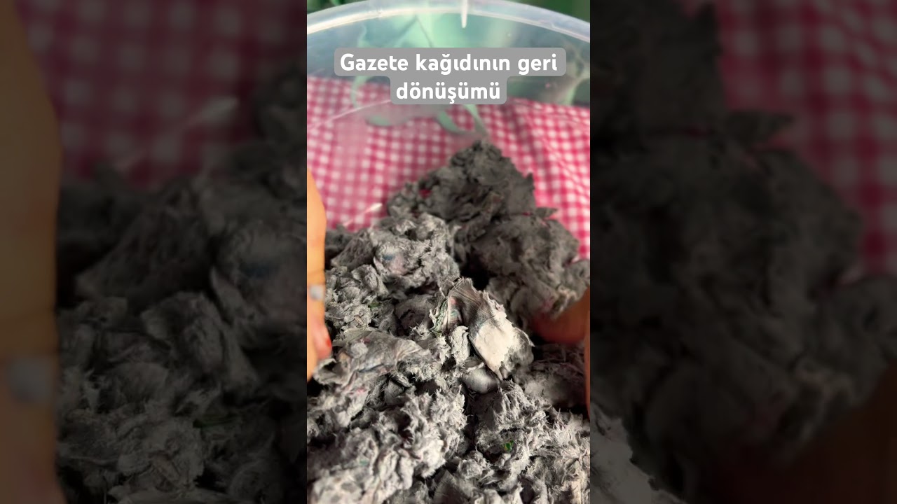 Geri dönüşüm 