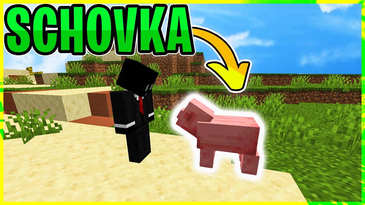 ZVÍŘECÍ SCHOVKA V MINECRAFTU!😱| [MarweX&@GALAKTUS&@MegaSkuci&@fatlaax&@eban926]