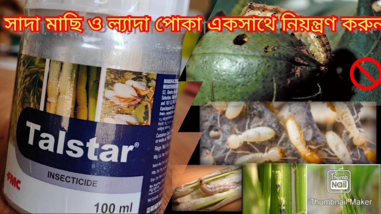 FMC TALSTAR FULL DETAILS//BIFENTHRIN 10% EC//INSECTICIDE
