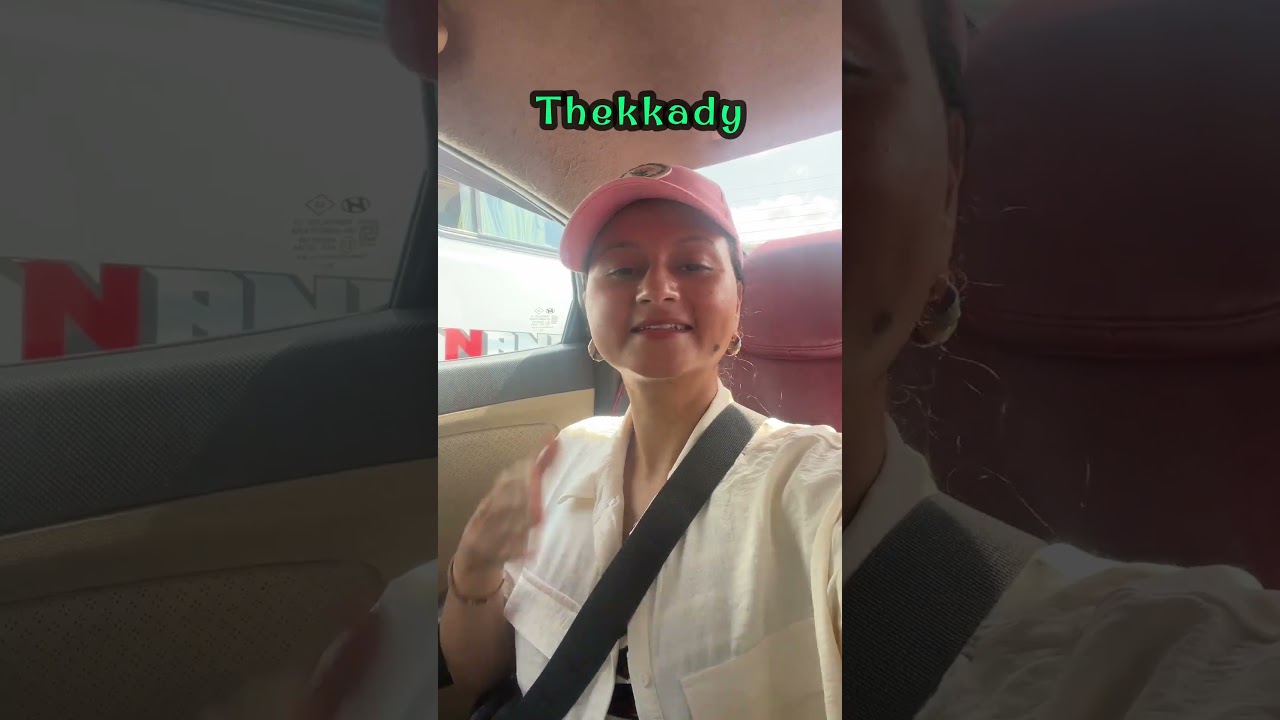 #440 Munnar to THEKKADY | Periyar Lake