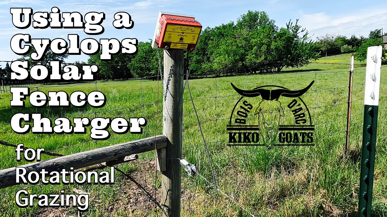 Rotational Grazing | Electric Fencing for Goats | Raising Goats