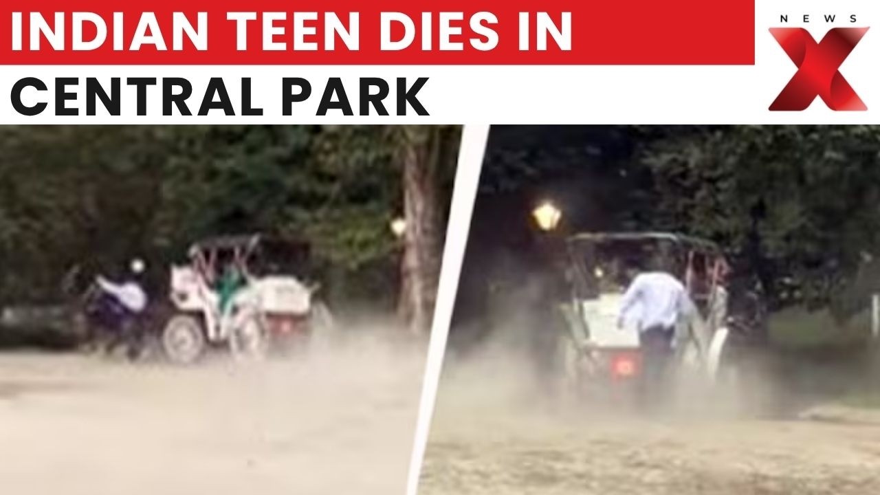 Indian Teen Dies After Central Park Horse Carriage Accident in New York City | Latest News | NewsX