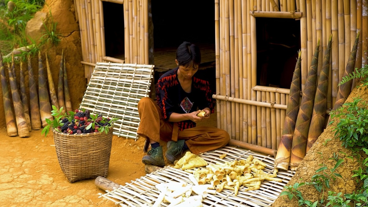 Harsh Jungle Challenge Building Shelter and Finding Food in the Rainforest Wilderness