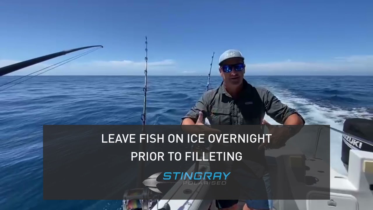 Filleting Tips with Scott Hillier featuring Stingray Eyewear Polarised Fishing Sunglasses