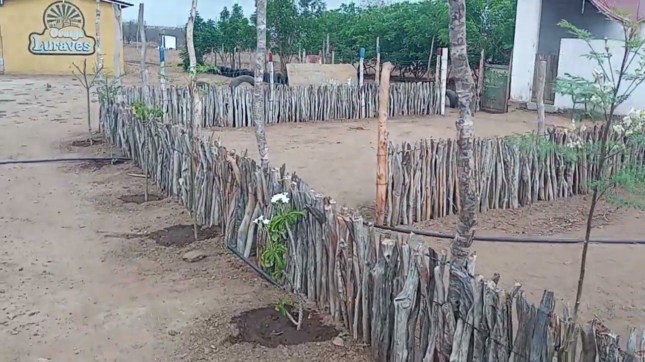 Vivendo e reverenciando agricultura familiar mesmo diante das grandes dificuldades nunca desistir 
