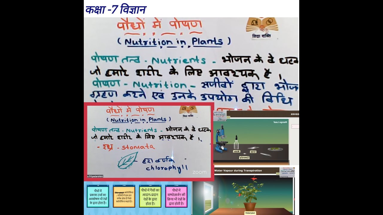 (07th Science UK) Functions of leaves in plants./पौधों में पत्तियों के कार्य।Olabs simulation.