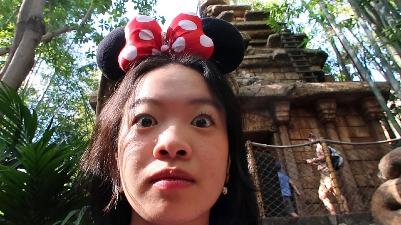 a disney day
