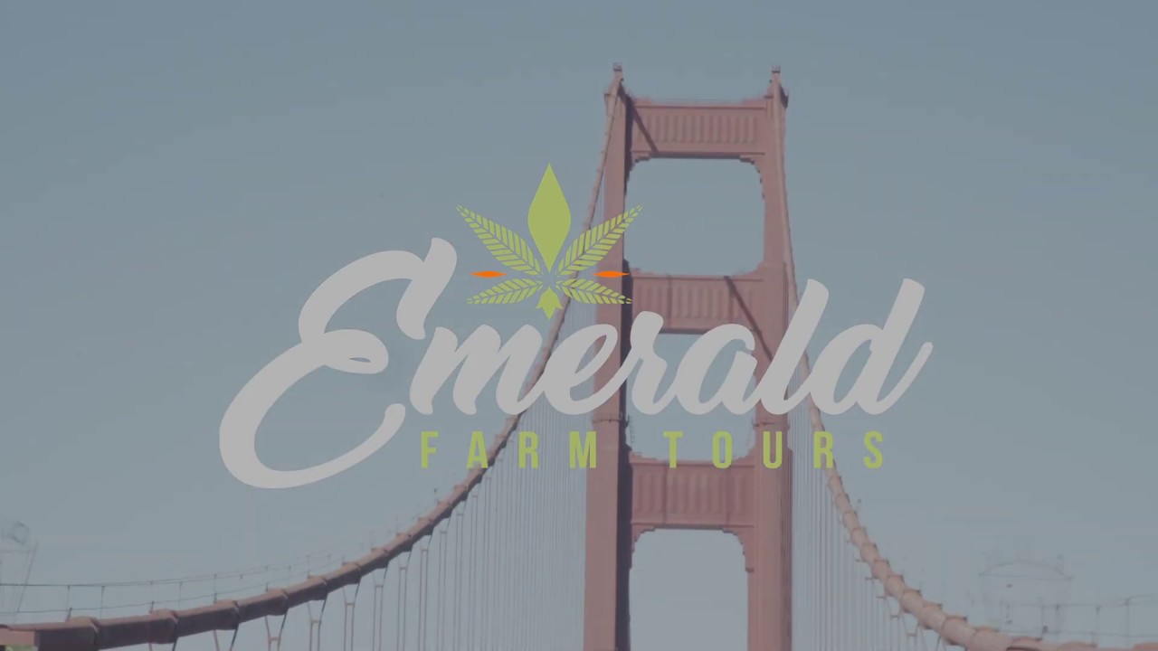 America's Best Cannabis Grow Tours | All-Inclusive Overnight California Weed Farm Tour Mendocino, CA