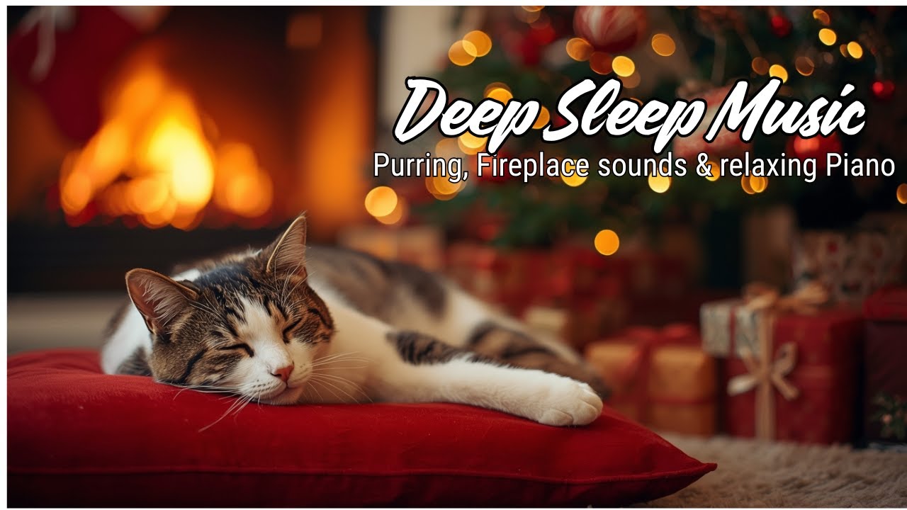 Calming Music for Cats Cat Relaxing Music & Sounds for Sleeping