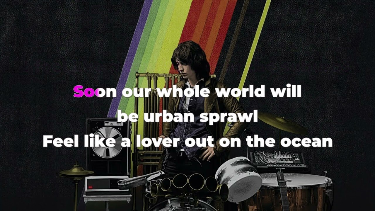 Julian Casablancas - Tourist - Karaoke