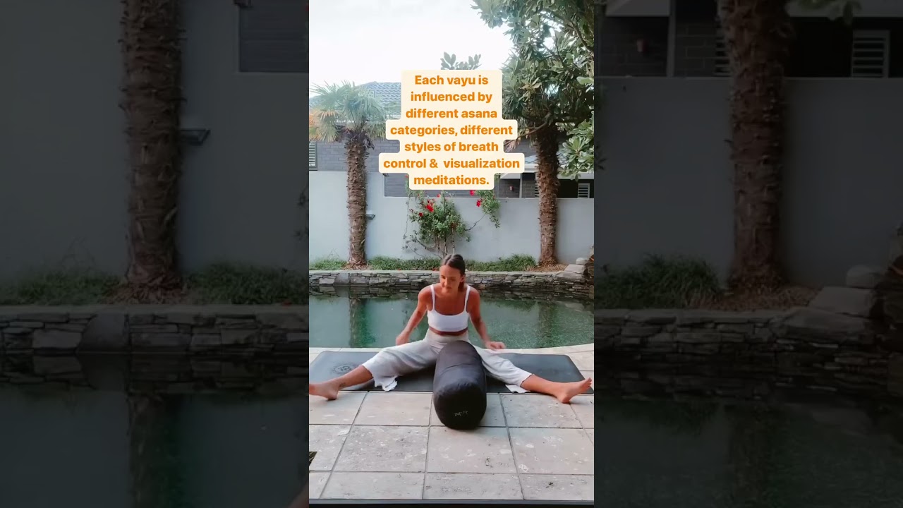 What are the prana vayus?