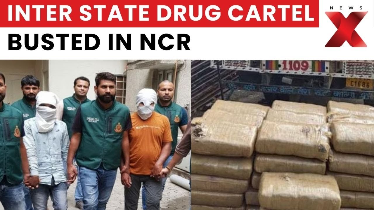 Delhi Crime Branch Busts Interstate Drug Cartel, 31 Kg Alprazolam Seized | NewsX
