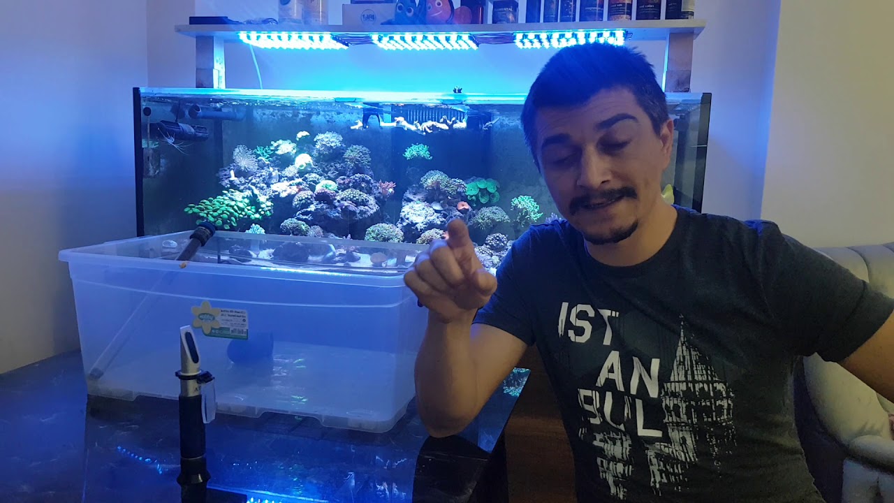 Deniz Akvaryumu Karantina Neden Önemli!