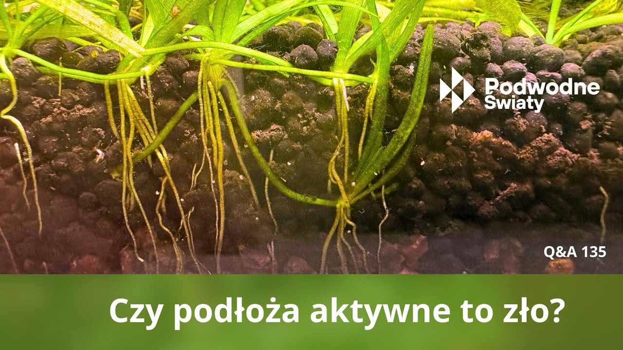 Czy podłoża aktywne to zło ? Q&A 135