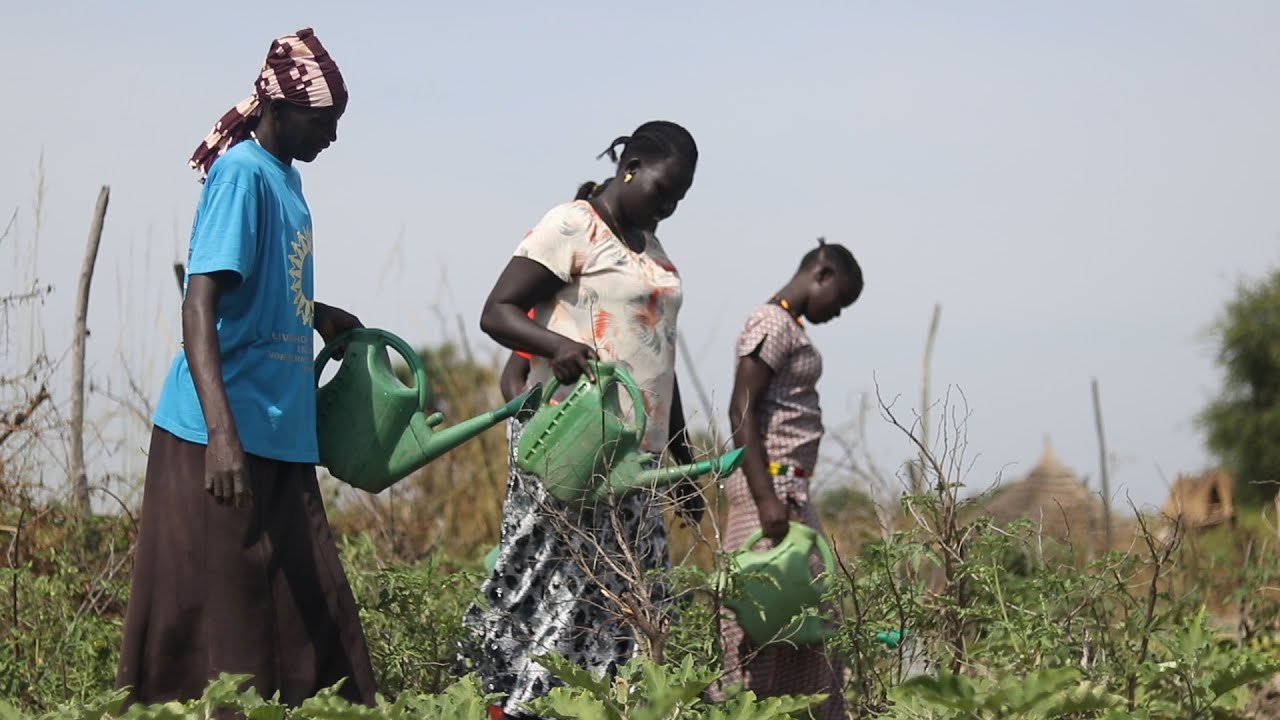 Food Security and Livelihoods: World Vision helps strengthen resilience in South Sudan