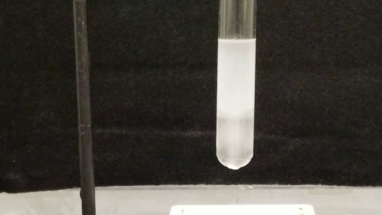 Critical Opalescence 2019 (no audio)