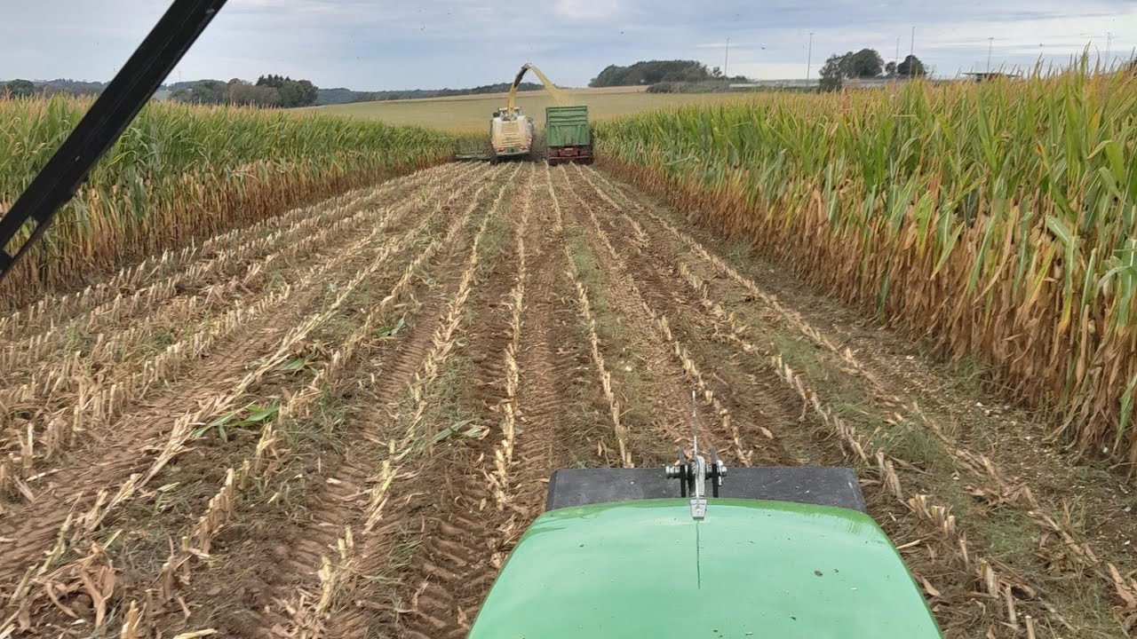 Maishäckseln 2022 Part 2 *Cabview* John Deere 6400