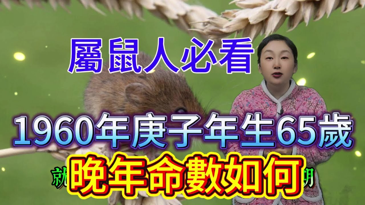 65歲庚子鼠必看！1960年屬鼠人晚年命數大揭祕，驚人轉折定福禍，後半輩子順不順早知道！#運勢 #生肖 #財富 #補財庫旺財氣 #分享 #福報