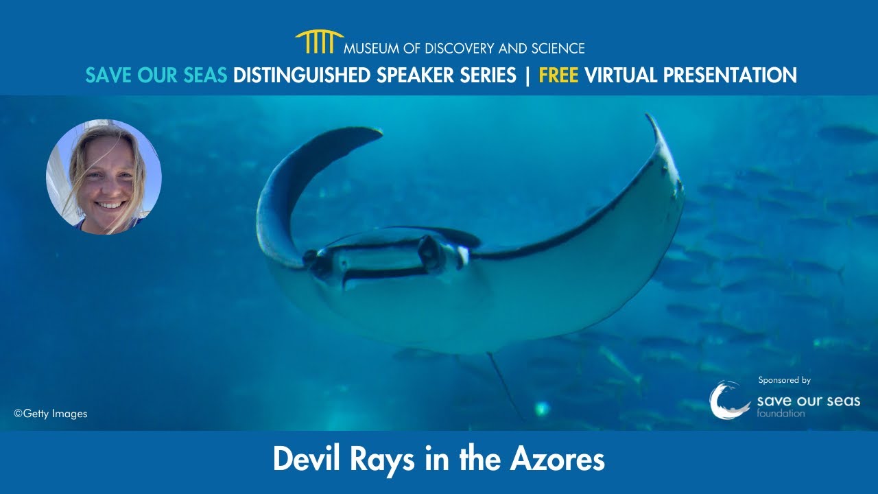 Save Our Seas Distinguished Speaker Series: Devil Rays in the Azores